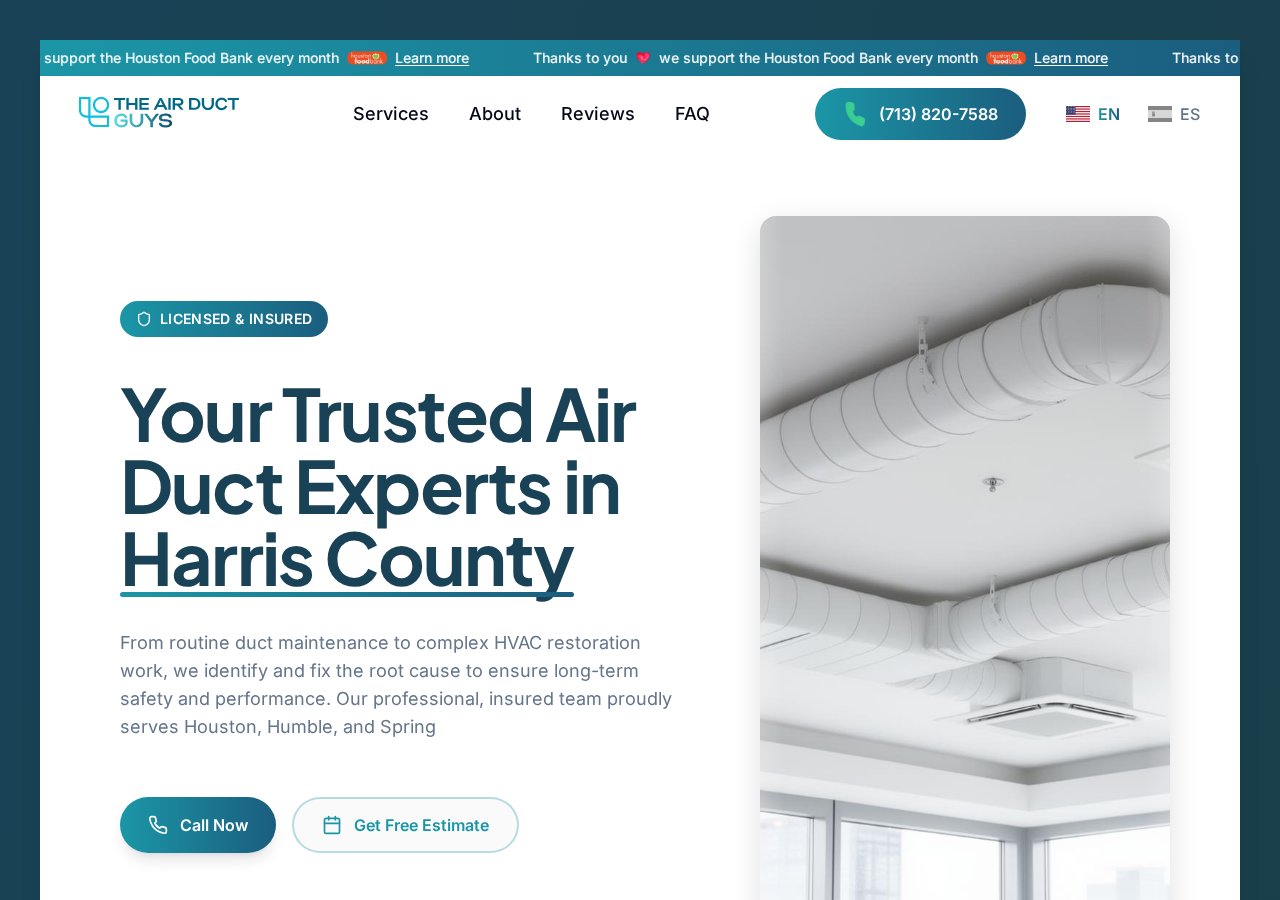 The Air Duct Guys services overview